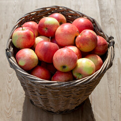 Fresh homemade apples from the garden in a basket.