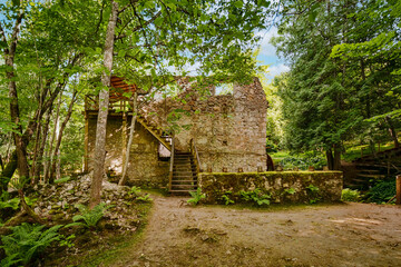 Old ruins in the forest
