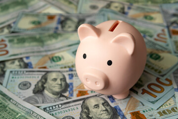 Pig piggy bank on the background of 100 US dollar bills. Concept of wealth and exchange.