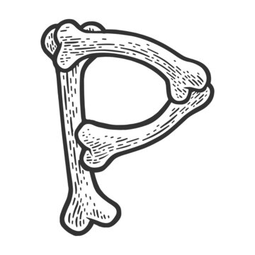 letter P made of bones sketch engraving raster illustration. Bones font. T-shirt apparel print design. Scratch board imitation. Black and white hand drawn image.