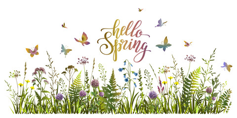 Hello spring colorful illustration with meadow herbs and flying butterflies. Floral spring background.