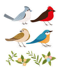 birds and flowers