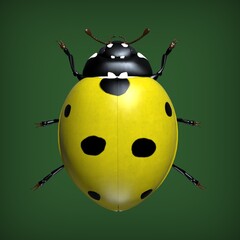 Insects are ladybugs. 3d illustration