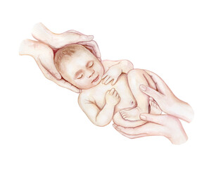 Newborn in parental hands. Baby, mother, father. New family. Motherhood watercolor illustration