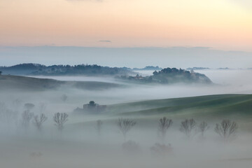 Obraz na płótnie Canvas Colorful and misty sunrise between trees and hills - Landscape - Tuscany - Italy