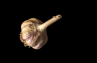garlic in black back