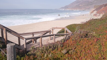 Big huge pacific ocean waves crashing on sandy shore, empty Garrapata beach, California coast, Big Sur nature, USA. Splashing water tide sea foam, mountains, wooden stairs from highway 1. Succulents.