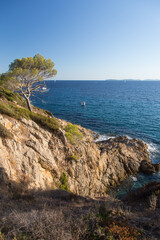 Fototapeta premium Beautiful crystalline blue mediterranean and jagged cliffs under pines along the rocky hiking trail Sentier du Littoral in the beautiful nature reserve at the peninsula Saint Tropez