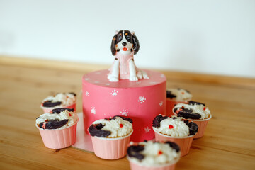 Cake and pastries for dogs.