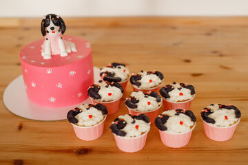 Cake and pastries for dogs.