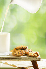 oatmeal chocolate chips cookies and milk served for breakfast on natural background, healthy lifestyle and eating