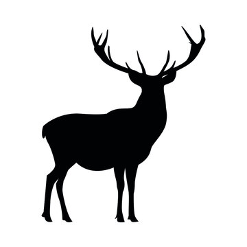 Black silhouette of a vector deer, deer icon in eps 10.