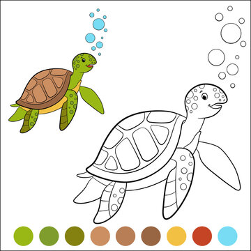 Color me: marine animals. Cute sea turtle swims underwater and smiles.