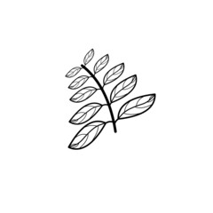 leaf template icon