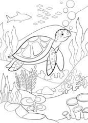 Coloring page. Little cute green sea turtle swims underwater and smiles.