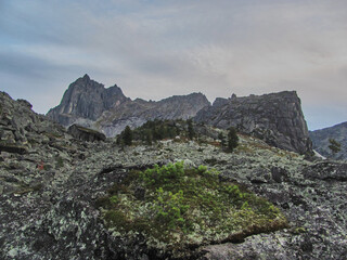 Reserve Ergaki summer season Siberia.