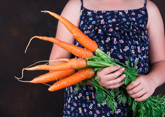 Little girl with bunch of carrots. Healthy farmer food.