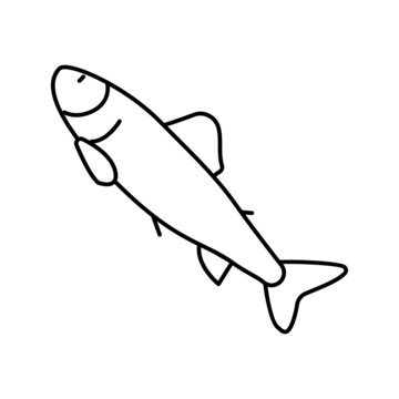 parr salmon line icon vector illustration