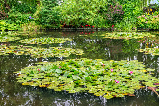 Giverny, France. Gardens of Claude Monet in summer season.
