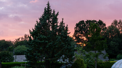 Obraz na płótnie Canvas sunset in the forest