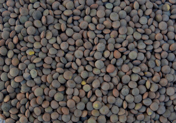 A few raw brown lentils