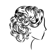 Woman with stylish classic bun with perfect eyebrow shaped and full. Illustration of business hairstyle with natural long hair.