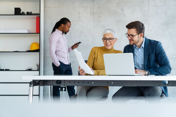 Company employees working in software development and designer office