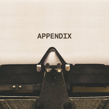 Appendix headline written on vintage type writer from 1920s