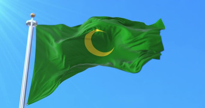 Mughal Empire Flag. Loop