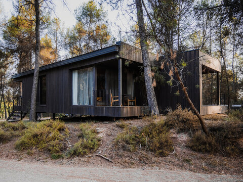 Modern wooden house in forest