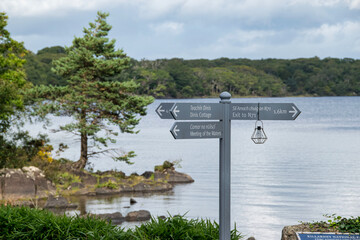 Wunderschöne Aussicht auf den See im Killarney National Park