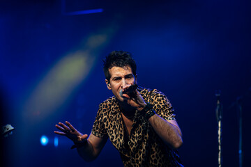 Singing artist performing before the audience at a live concert.