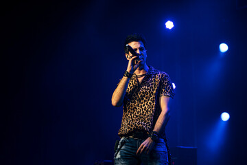 Singing artist performing before the audience at a live concert.