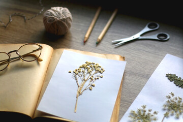 Old book, papers, various pressed flowers, eyeglasses, scissors, pencils and rope on wooden desk. Crafting and making herbarium at home. Selective focus.
