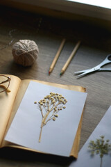 Old book, papers, various pressed flowers, eyeglasses, scissors, pencils and rope on wooden desk. Crafting and making herbarium at home. Selective focus.