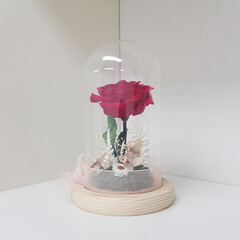 어린왕자의 장미꽃