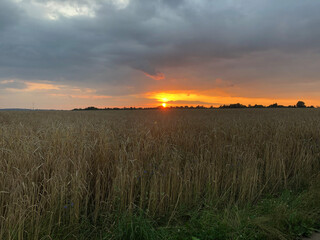 Fototapeta premium Sonnenuntergang