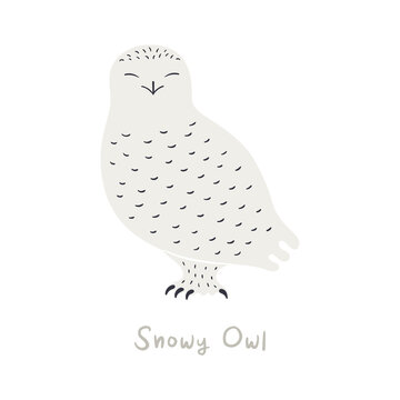 Cute cartoon snowy owl, isolated on white. Hand drawn vector illustration. Winter animal character. Arctic wildlife, nature. Design concept for kids fashion, textile print, poster, card, baby shower.