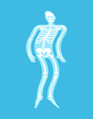 Obraz na płótnie Canvas Ghost of transparent man with bones. spirit flies