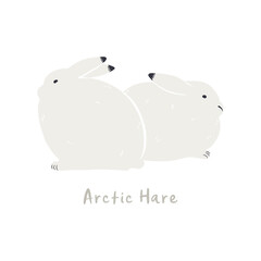 Cute cartoon arctic hares, isolated on white. Hand drawn vector illustration. Winter animal character. Arctic wildlife, nature. Design concept kids fashion, textile print, poster, card, baby shower.