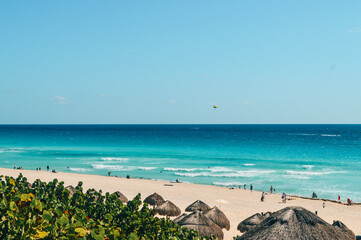 beach with trees and sea Cancun Mexico