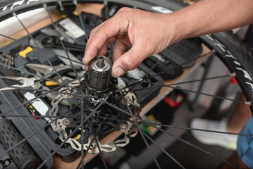 Example of hub repacking procedure. Professional servicing at a Bike repair shop.