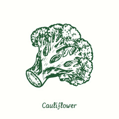 Cauliflower.  Ink black and white doodle drawing in woodcut style