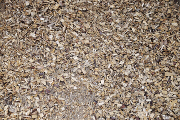 Sawdust wooden filling seamless background