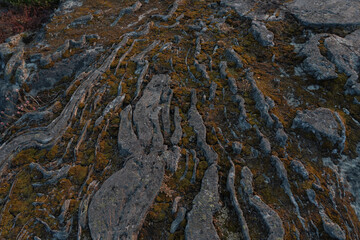 The texture of the rocks. Photo of nature texture of stones. Close-up. high quality photo. Finnish nature