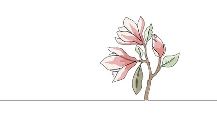 One single line magnolia flower illustration. Magnolia branch