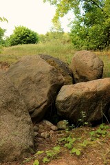 Kamienie w lesie © Ireneusz