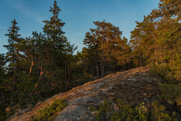 At sunset, seascape, sea view, rocks and northern low pines. Finnish nature. Turku. Vacation, vacation, relaxation concept