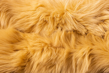 Natural fur, painted yellow. Background, fur texture.