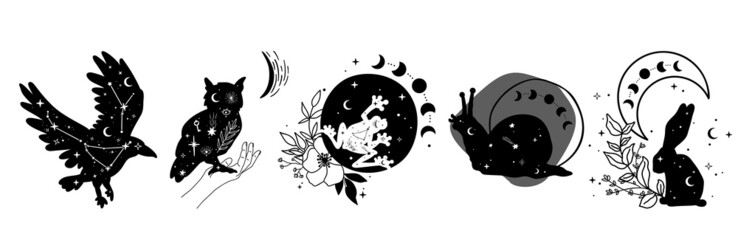 Hand drawn collection of celestial wild animals